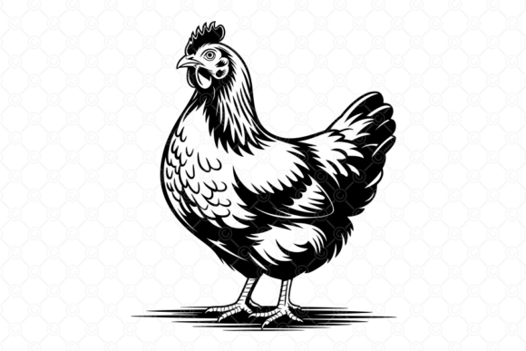 Download Chicken SVG, Hen SVG, Farm Clipart, 017 - Svg Collection